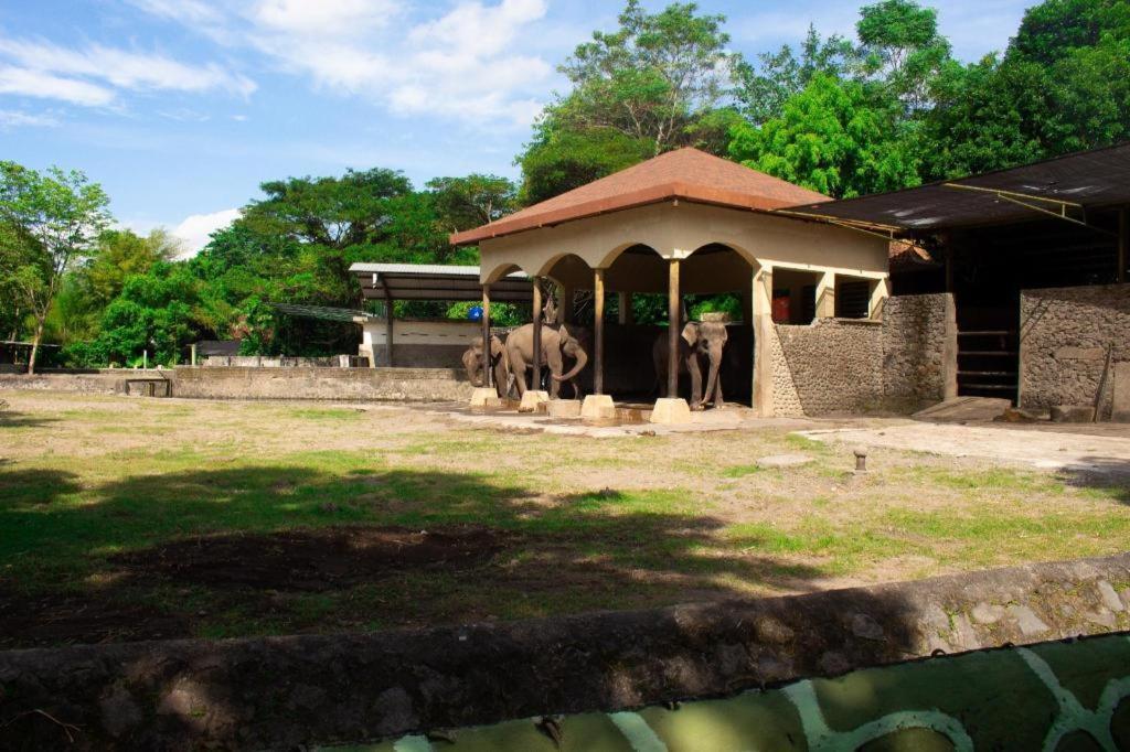 Bhumi Hostel Jogyakarta Zewnętrze zdjęcie