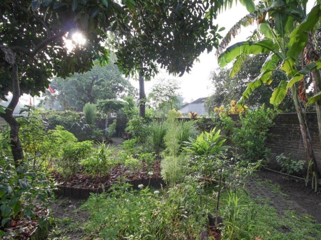 Bhumi Hostel Jogyakarta Zewnętrze zdjęcie